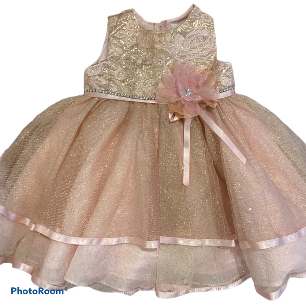 New without tags Rare Editions Rose Gold dress 18